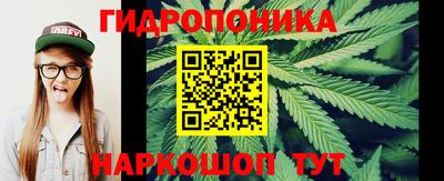 шишки Моздок